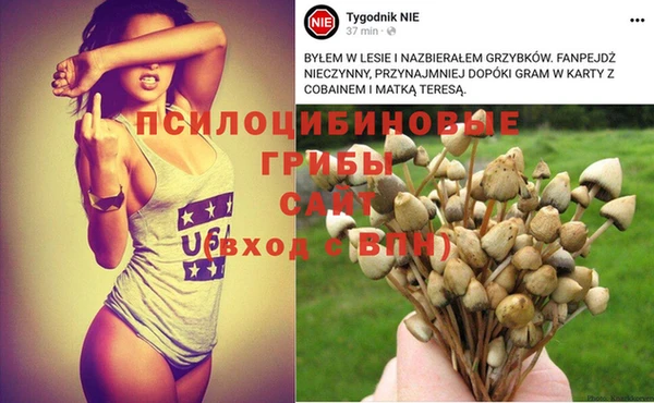 Альфа ПВП Богородск