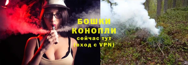 молекула духа Нягань